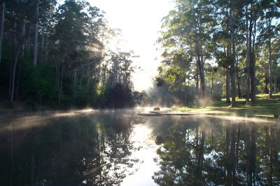 Pemberton Camp School - Great Ocean Road Tourism 3