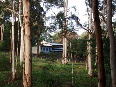 Pemberton Camp School - Great Ocean Road Tourism 5