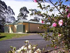 Bega Caravan Park - Great Ocean Road Tourism 5