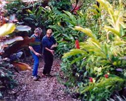 Milkwood Lodge - Great Ocean Road Tourism 1