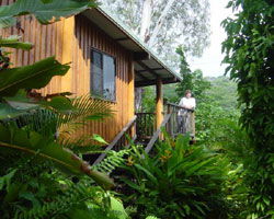 Milkwood Lodge - Great Ocean Road Tourism 2