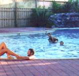 Shark Bay Caravan Park - Great Ocean Road Tourism