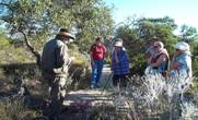 Western Flora Caravan Park - Great Ocean Road Tourism 0