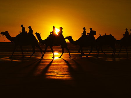 Oaks Broome - Great Ocean Road Tourism 2