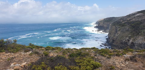 Amoria Beach House - Great Ocean Road Tourism 2