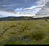 Annas Retreat - Great Ocean Road Tourism