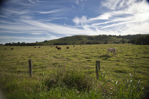 Annas Retreat - Great Ocean Road Tourism 0