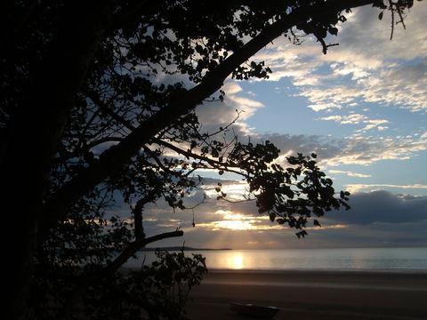 Armstrong Beach Caravan Park - Great Ocean Road Tourism 0