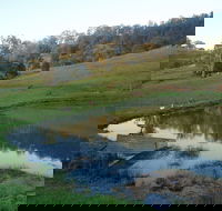 Barkeldine Farm Country Retreat - Great Ocean Road Tourism