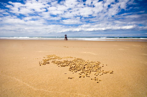 BIG4 Nambucca Beach Holiday Park - Great Ocean Road Tourism 1