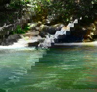 Daintree Secrets Rainforest Sanctuary - Great Ocean Road Tourism