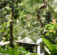 Daintree Ecolodge - Great Ocean Road Tourism