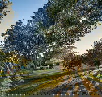 Delicate campground - Great Ocean Road Tourism