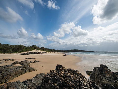 Delicate Campground - Great Ocean Road Tourism 1