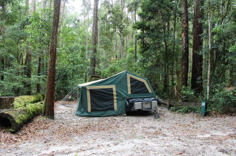 K'gari (Fraser Island) Camping, Great Sandy National Park - Great Ocean Road Tourism 2