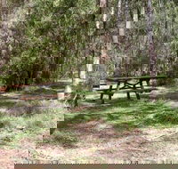 Mulloon Creek campground - Great Ocean Road Tourism