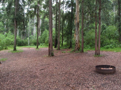 Murphys Glen Campground - Great Ocean Road Tourism 0