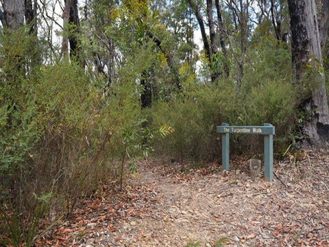 Murphys Glen Campground - Great Ocean Road Tourism 2
