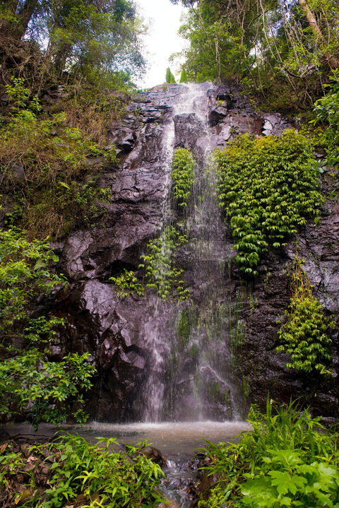 Nimbin Waterfall Retreat - Great Ocean Road Tourism 0