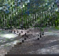 Stringers Camp at Lane Poole Reserve - Great Ocean Road Tourism
