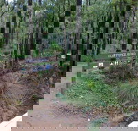 Tonys Bend Campground at Lane Poole Reserve - Great Ocean Road Tourism