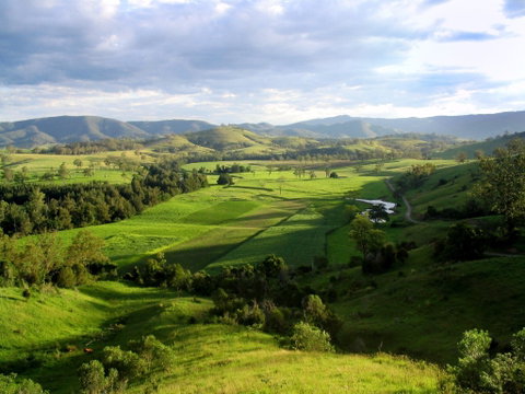 Water Gums Retreat - Great Ocean Road Tourism 1