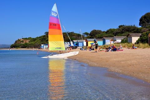 WhiteCliffs To Camerons Bight Foreshore Reserve - Great Ocean Road Tourism 1