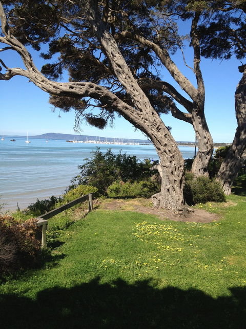 WhiteCliffs To Camerons Bight Foreshore Reserve - Great Ocean Road Tourism 2