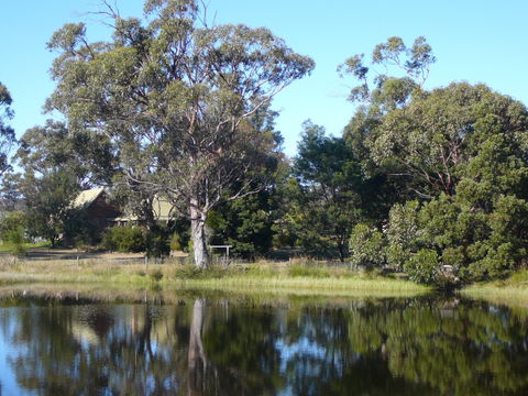 Wind Song Bed And Breakfast - Great Ocean Road Tourism 2