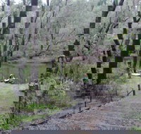 Yarragil Camp at  Lane Poole Reserve - Great Ocean Road Tourism