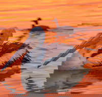 4 Pelican Court - River Shack Rentals - Great Ocean Road Tourism