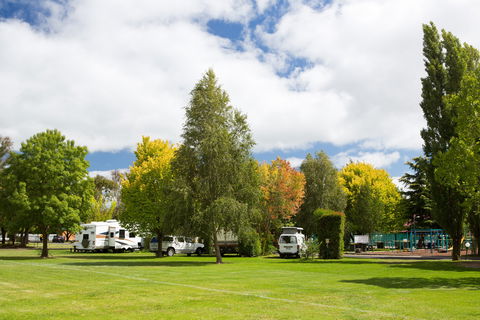 Armidale Tourist Park - Great Ocean Road Tourism 0