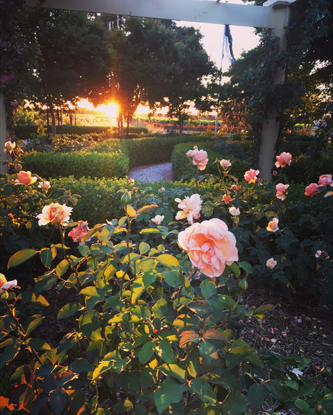 BAROSSA  HOUSE - Great Ocean Road Tourism 1