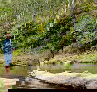 Bass Lodge - Great Ocean Road Tourism