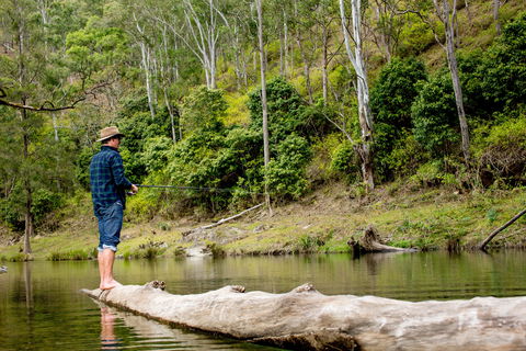 Bass Lodge - Great Ocean Road Tourism 0