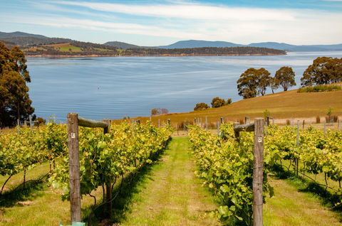 Beaupre Farm - Great Ocean Road Tourism 0
