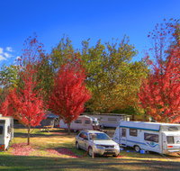 Beechworth Lake Sambell Caravan Park - Great Ocean Road Tourism