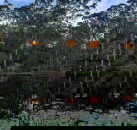 Billabong Retreat - Great Ocean Road Tourism