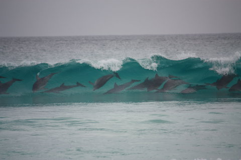 Bremer Bay Caravan Park - Great Ocean Road Tourism 1