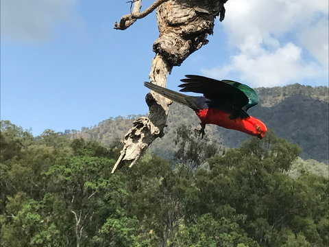 Cave Rock Cottages - Great Ocean Road Tourism 2