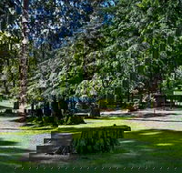 Dingo Tops campground - Great Ocean Road Tourism