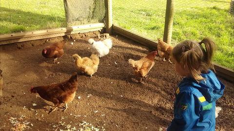 Emerald Park Holiday Farm - Great Ocean Road Tourism 2