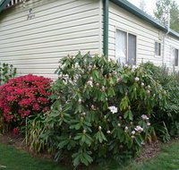 Jenolan Caravan Park - Great Ocean Road Tourism