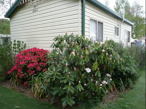 Jenolan Caravan Park - Great Ocean Road Tourism 0
