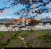 Little Sunnyside Accommodation - Great Ocean Road Tourism