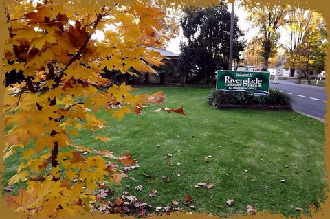 Riverglade Caravan Park - Great Ocean Road Tourism 0