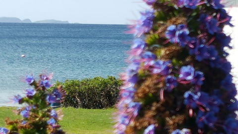 Rock Lobster - Great Ocean Road Tourism 2