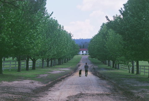 The Oaks Ranch And Country Club - Great Ocean Road Tourism 1