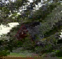 Turkeys Nest Rainforest Cottages Mt Glorious - Great Ocean Road Tourism