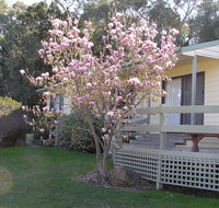 Annies Holiday Units - Great Ocean Road Tourism